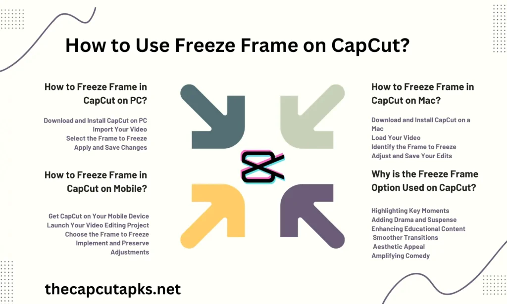 How to Use Freeze Frame on CapCut?